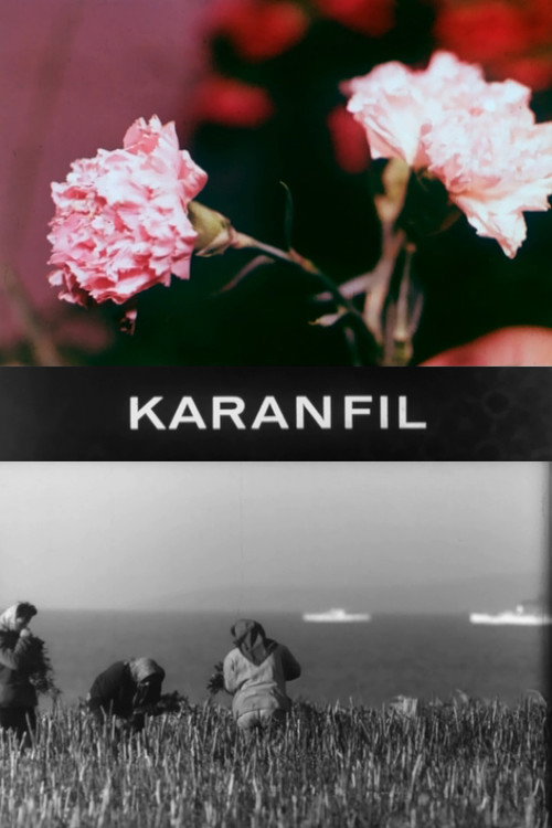 Carnation (1968) poster