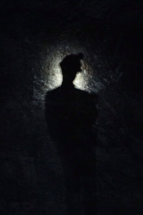 Salt (2026) poster