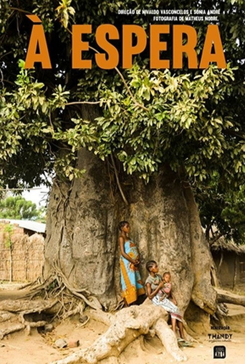 À Espera (2016) poster
