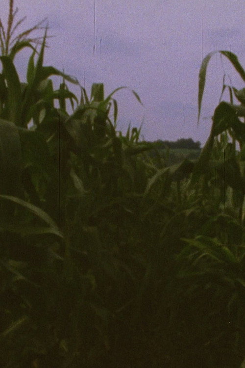 Pan 3 (1974) poster