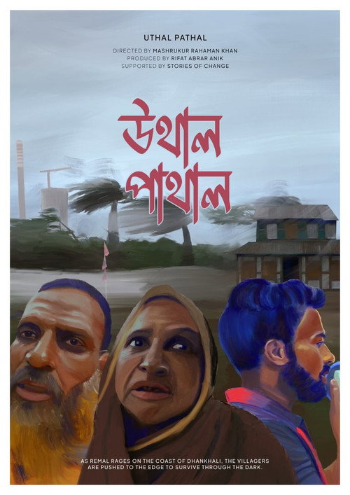 Topsy-Turvy (2024) poster