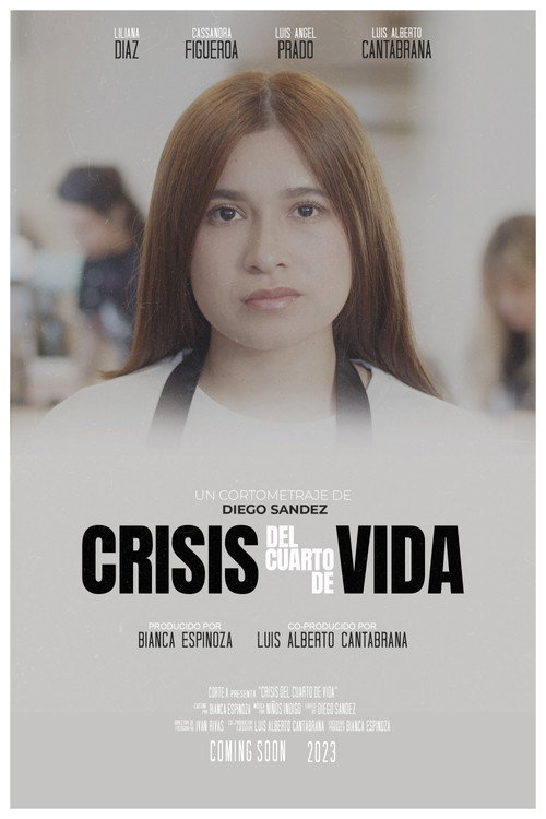 Quarter Life Crisis (2023) poster
