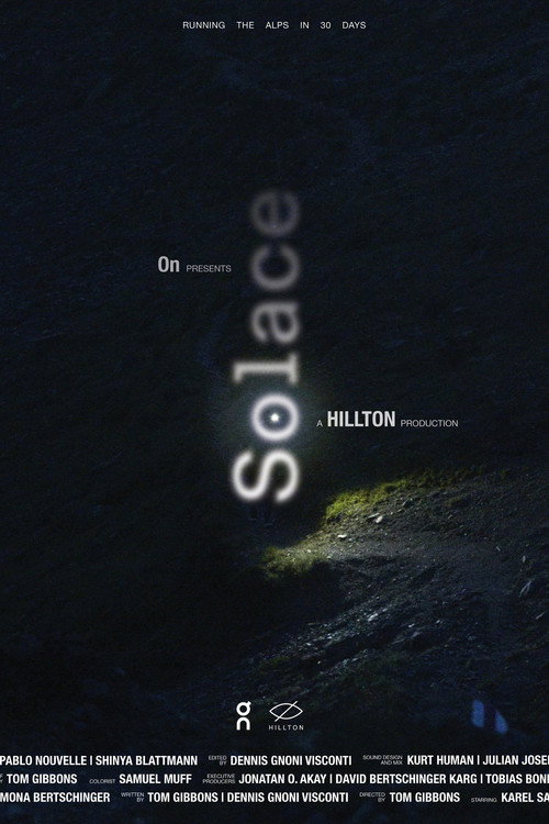 Solace (2021) poster