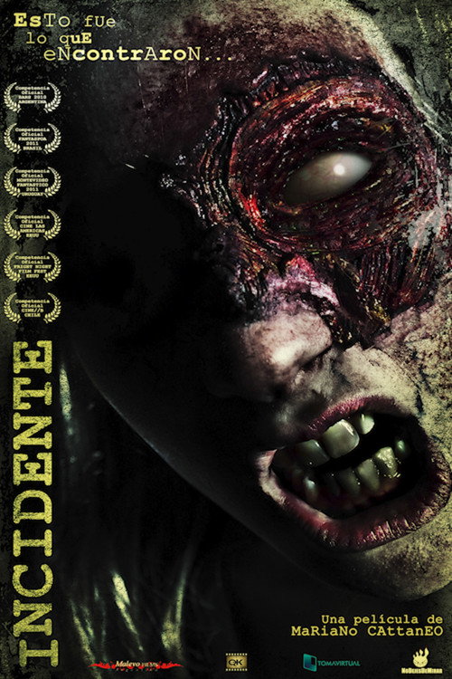 Incident (2010) poster