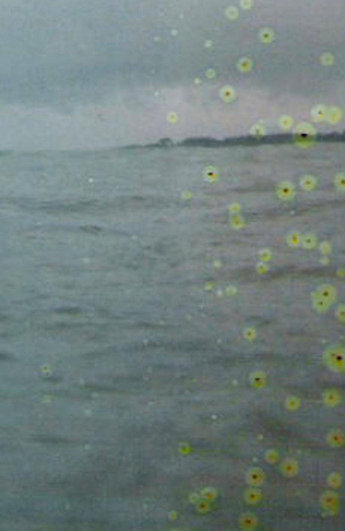 Film for Invisible Ink case no. 71: BASE-PLUS-FOG