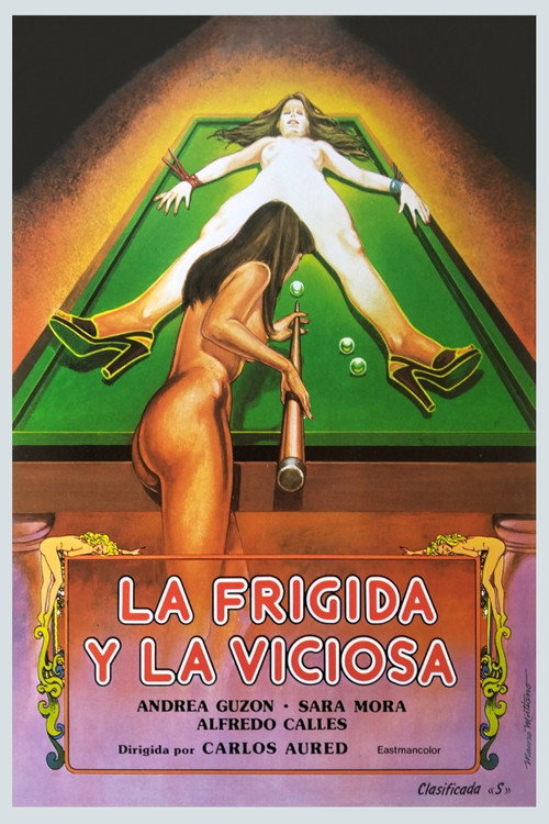 Frigid Fantasies (1981) poster