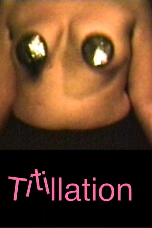 Titillation (2003) poster