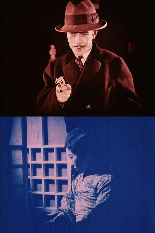 The Golden Bullet (1927) poster