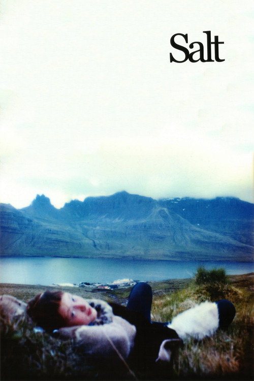 Salt (2003) poster