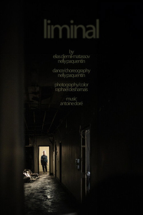liminal (2024) poster