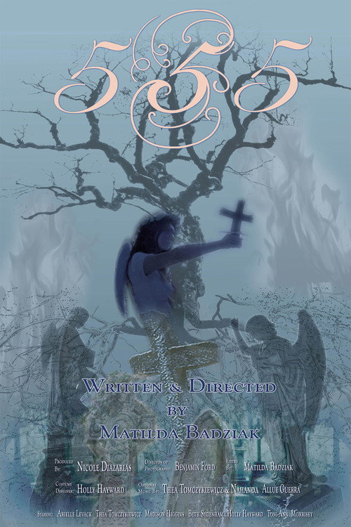 555 (2025) poster