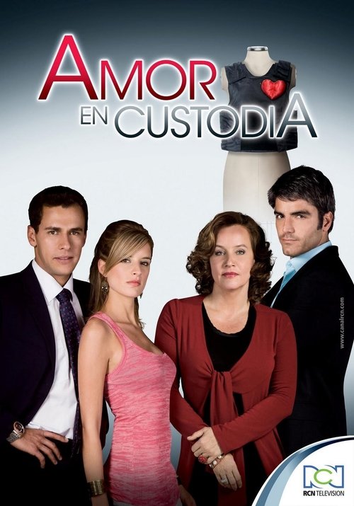 Amor en custodia (2009) poster