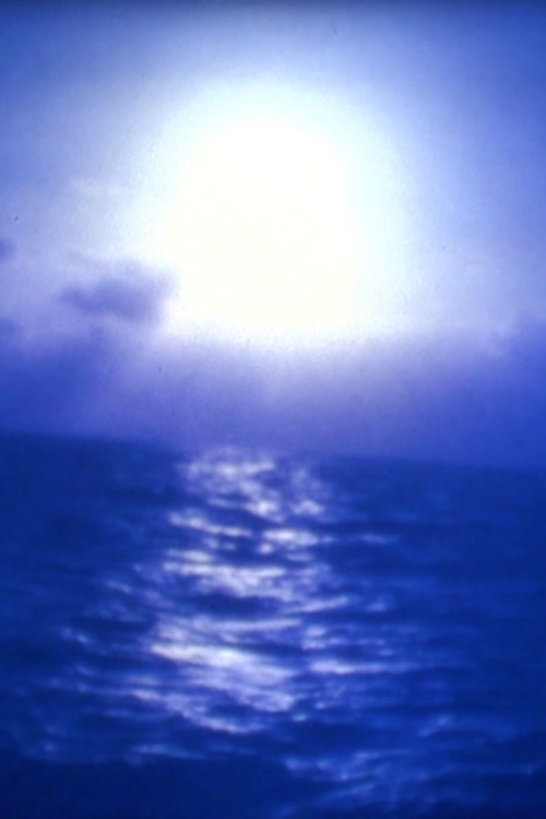 Travelogue (1994) poster