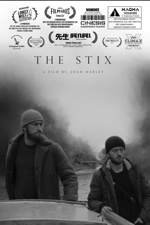 The Stix (2022) poster