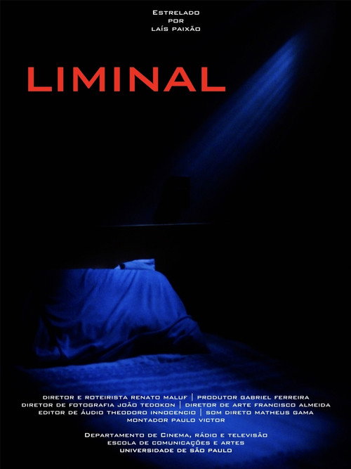 Liminal (2025) poster