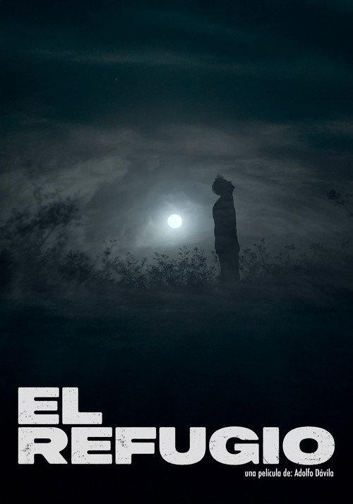 The Shelter poster