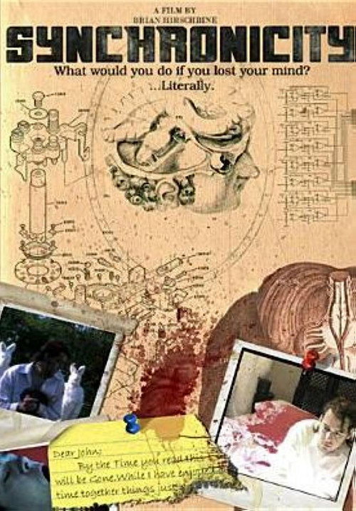 Synchronicity (2008) poster