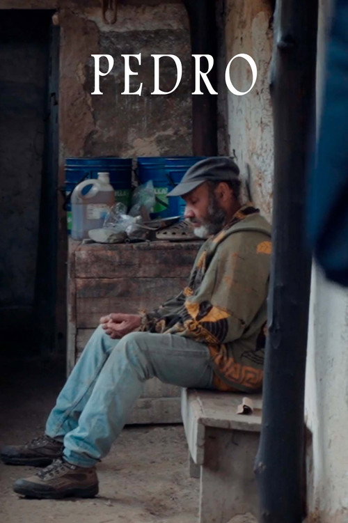 Pedro (2021) poster