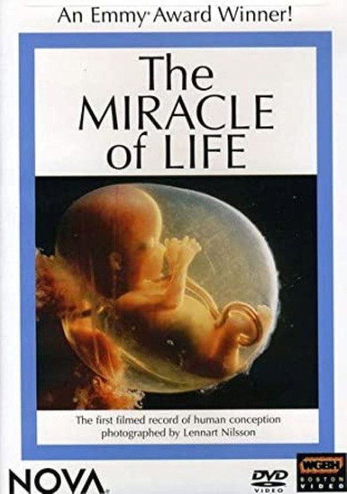 The Miracle of Life (1982) poster