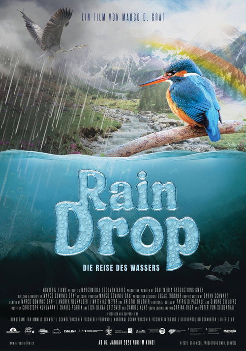 Raindrop (2025) poster