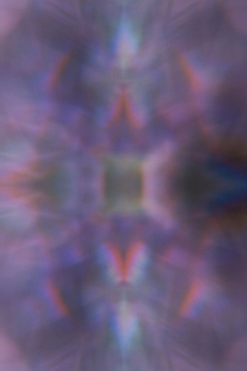 Orchid (2025) poster
