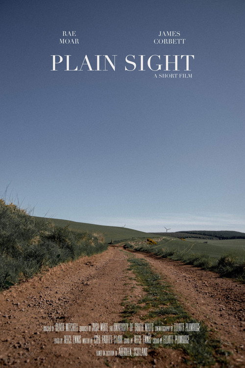 Plain Sight poster