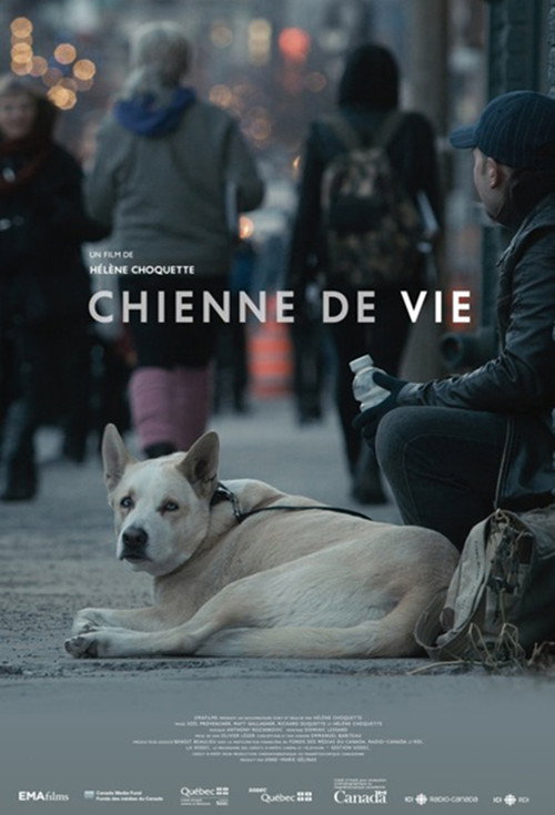 A Dog's Life (2016) poster