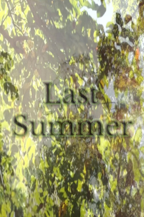 Last Summer (2025) poster