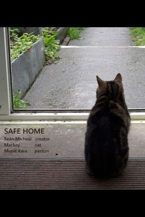 Safe Home