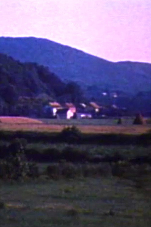 Elegy (1989) poster
