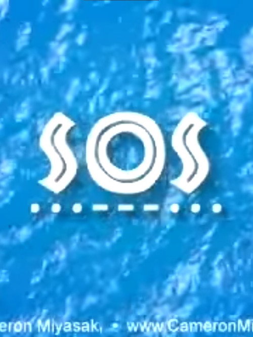 SOS (2002) poster
