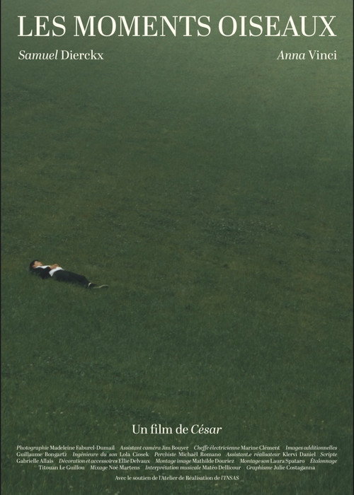 Les Moments Oiseaux