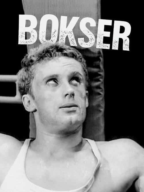 Boxer