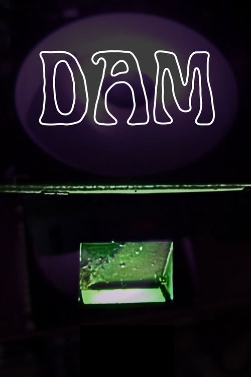 Dam (2025) poster