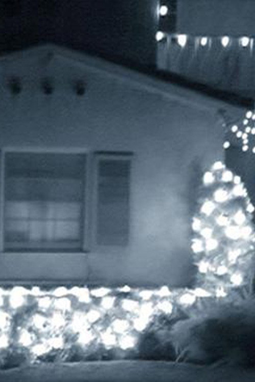 Poem B (The Guest House)
