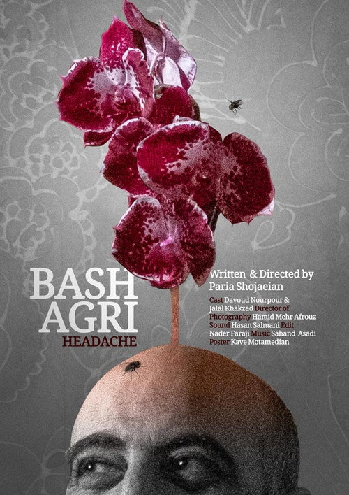 Headache (2025) poster