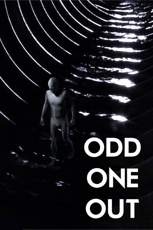 Odd One Out (2014) poster