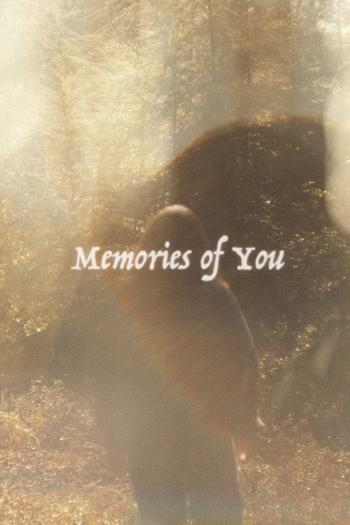 Memories of You (2026) poster