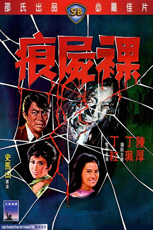 Dear Murderer (1969) poster
