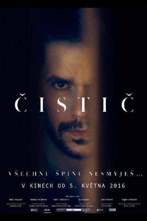 The Cleaner (2015) poster