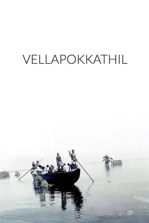 The Deluge (2007) poster