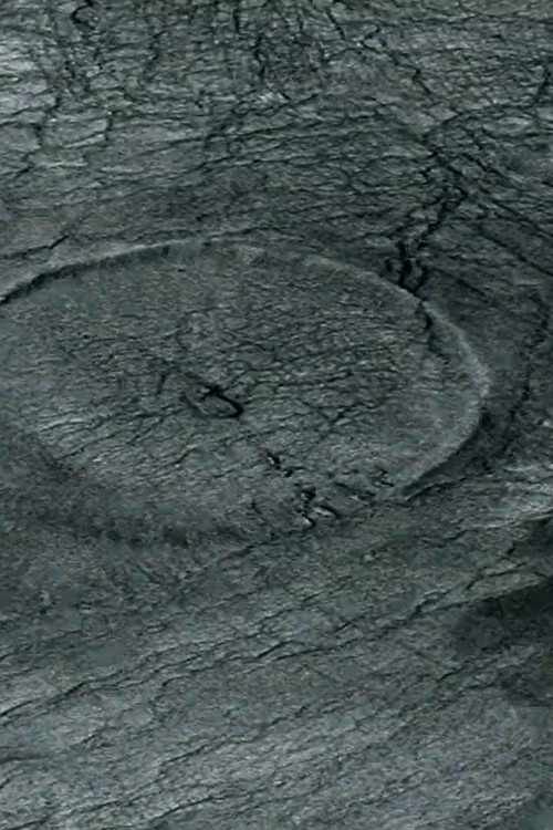 Whirlpool (2020) poster