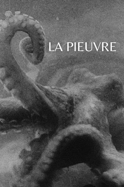The Octopus (1928) poster
