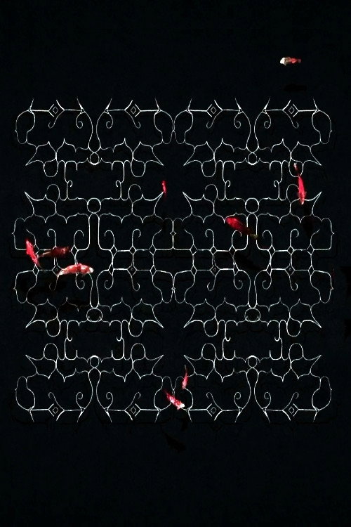 Ciciri