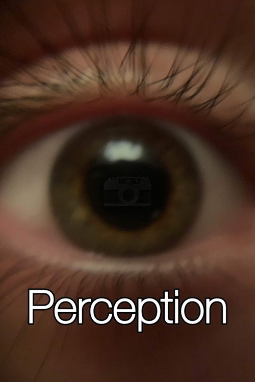 Perception (2025) poster