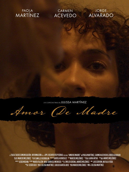 A Mother's Love (2022) poster