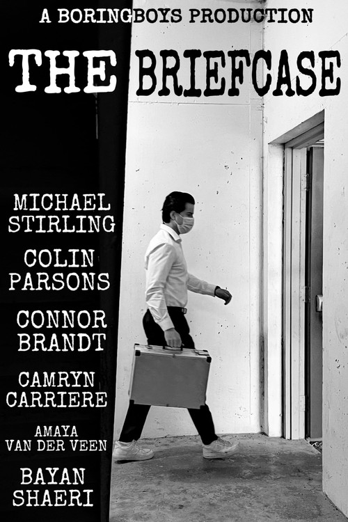 The Briefcase poster