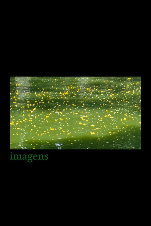 imagens poster