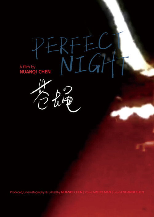 Perfect Night (2025) poster