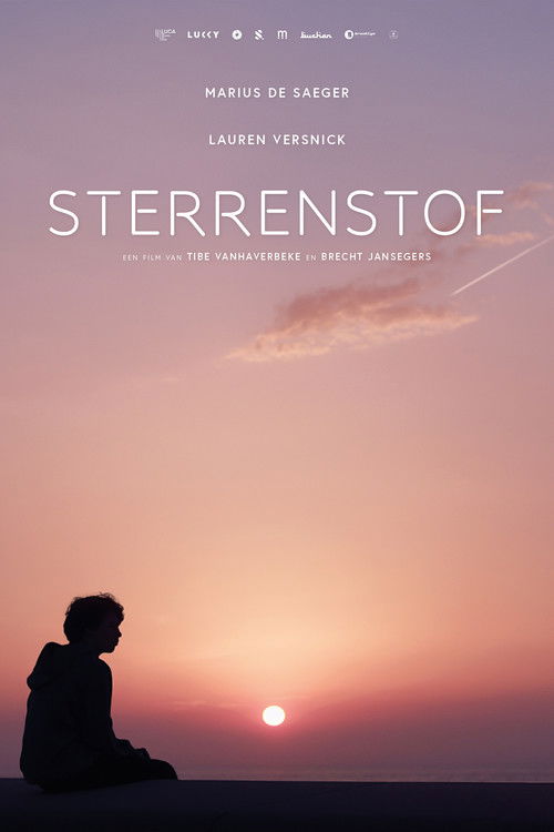Stardust (2025) poster